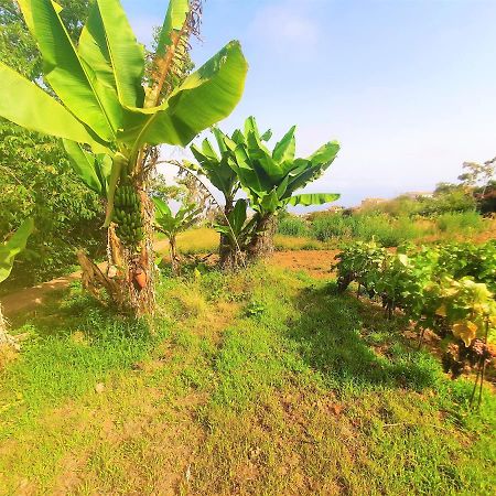 Casa En Finca Ecologica - Wifi La Orotava Exteriér fotografie