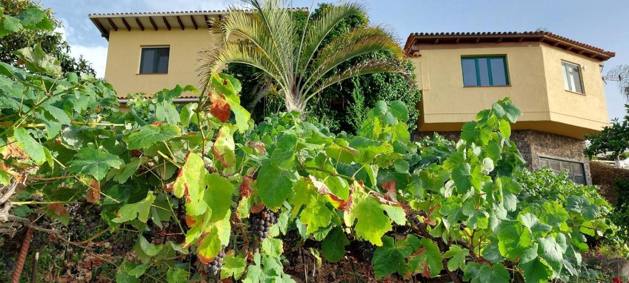 Casa En Finca Ecologica - Wifi La Orotava Exteriér fotografie
